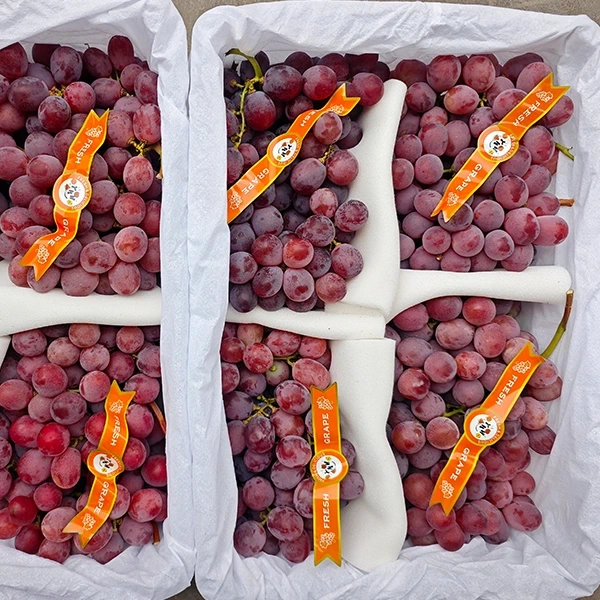 La consommation de raisins de table frais évolue vers un approvisionnement direct à l’origine