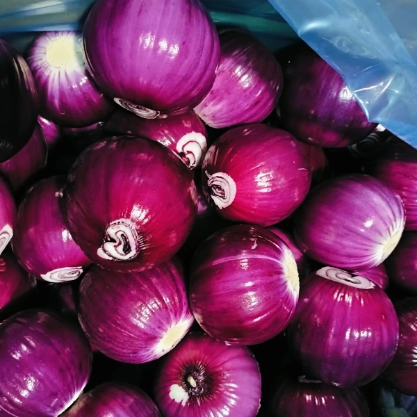 Huaang Food Processing gagne des parts de marché avec une qualité stable