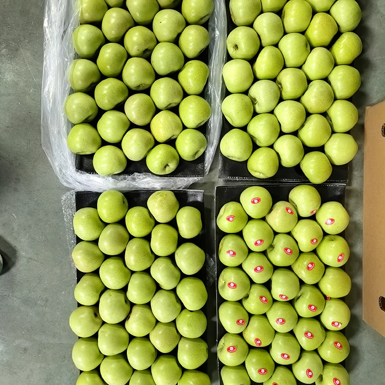 Pommes vertes croquantes et sucrées