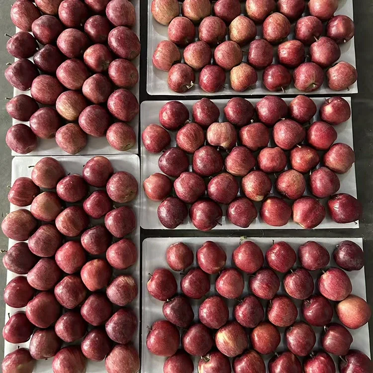 Pommes étoilées rouge vif