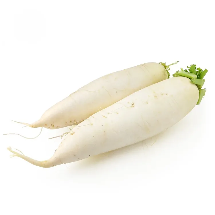 Radis Blanc Croquant