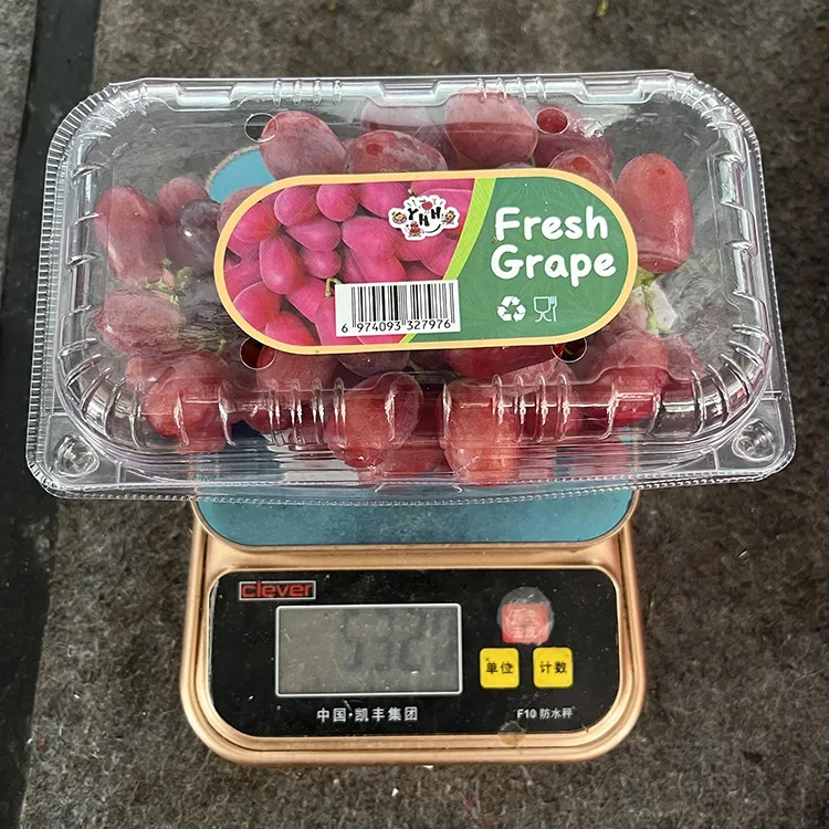 Raisins frais sans pépins pourpres de qualité export