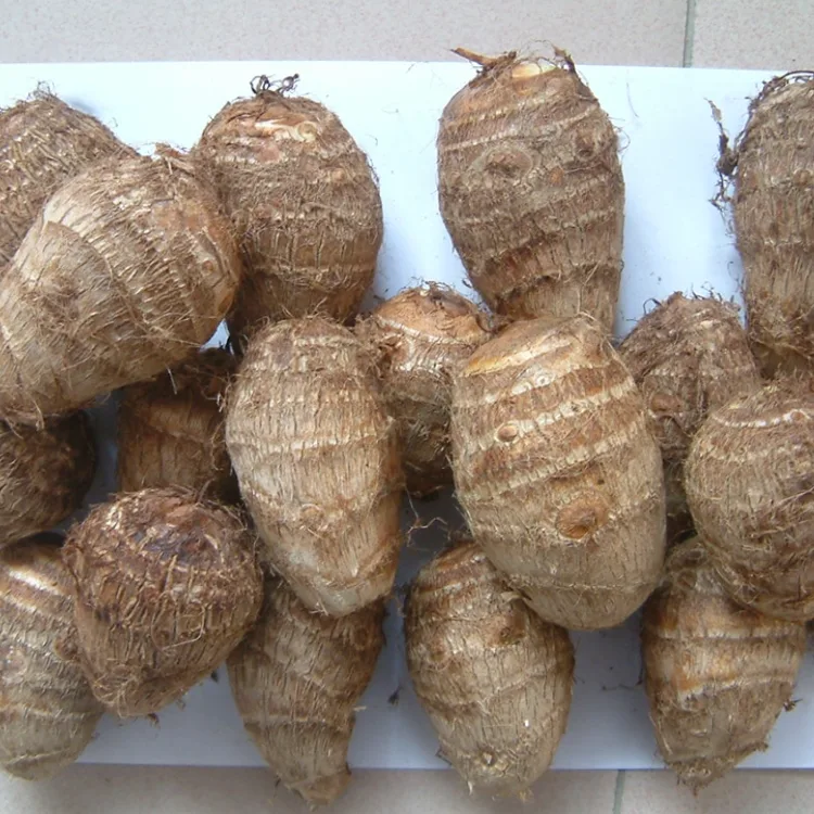 Taro frais des champs