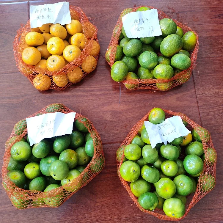 Mandarine fraîche au miel