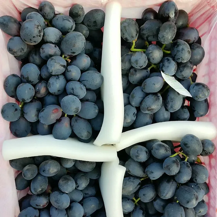 Raisins noirs fraîchement récoltés