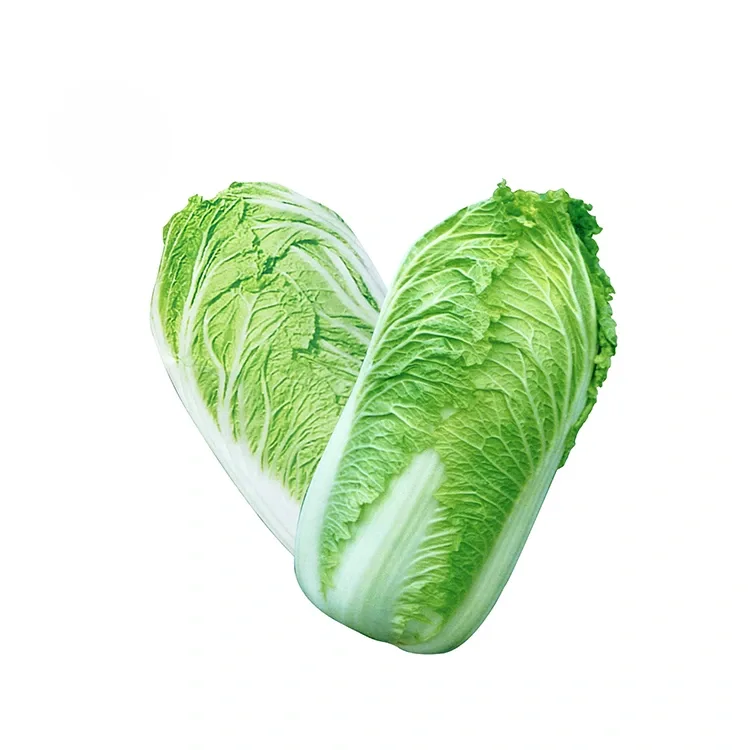 Chou chinois frais du jardin