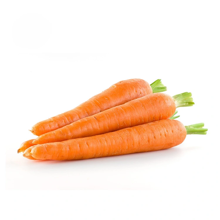 Carottes fraîches sélectionnées à la main