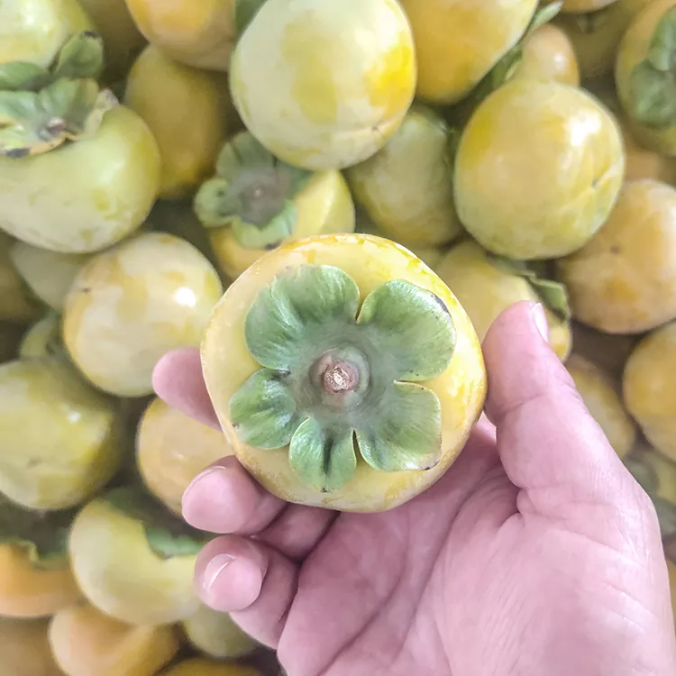 Kaki frais et croustillant de qualité supérieure