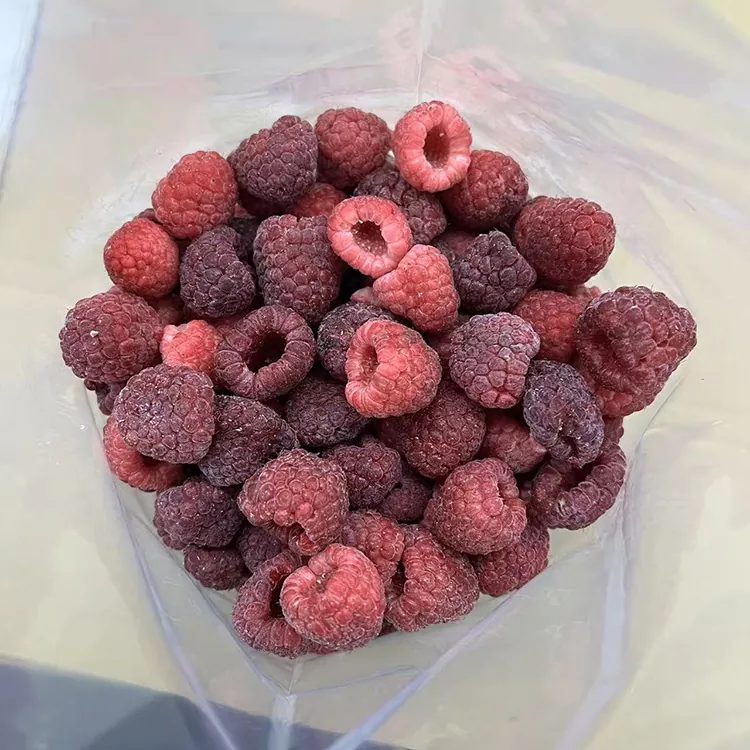 Framboise rouge entière surgelée de qualité supérieure surgelée