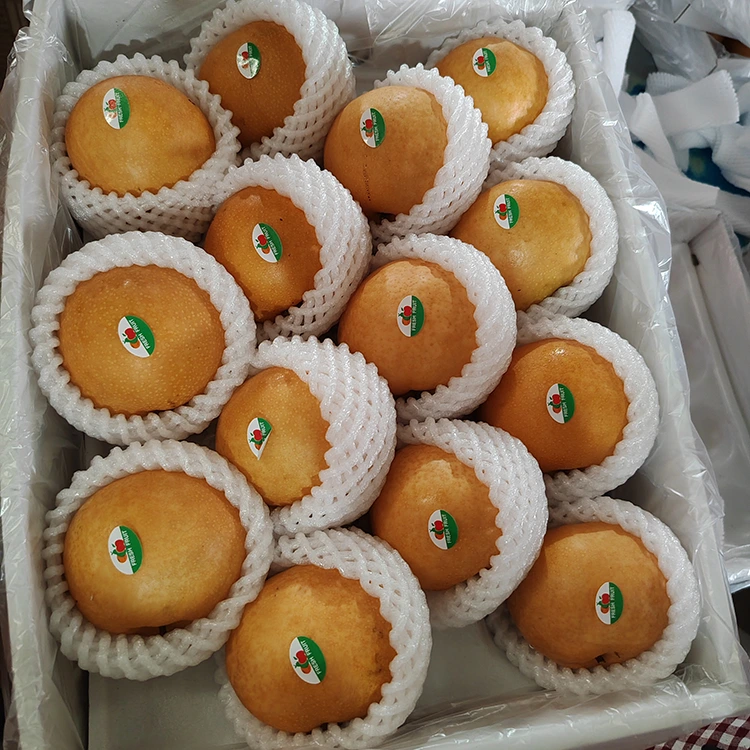 Poires Shingo de qualité supérieure