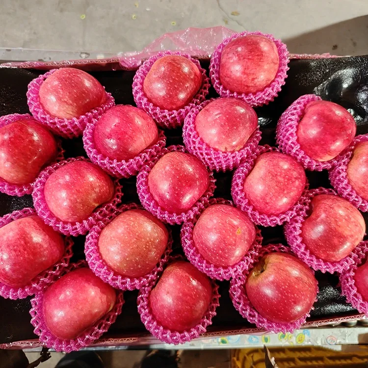 Pommes Jiguan fraîches de qualité supérieure